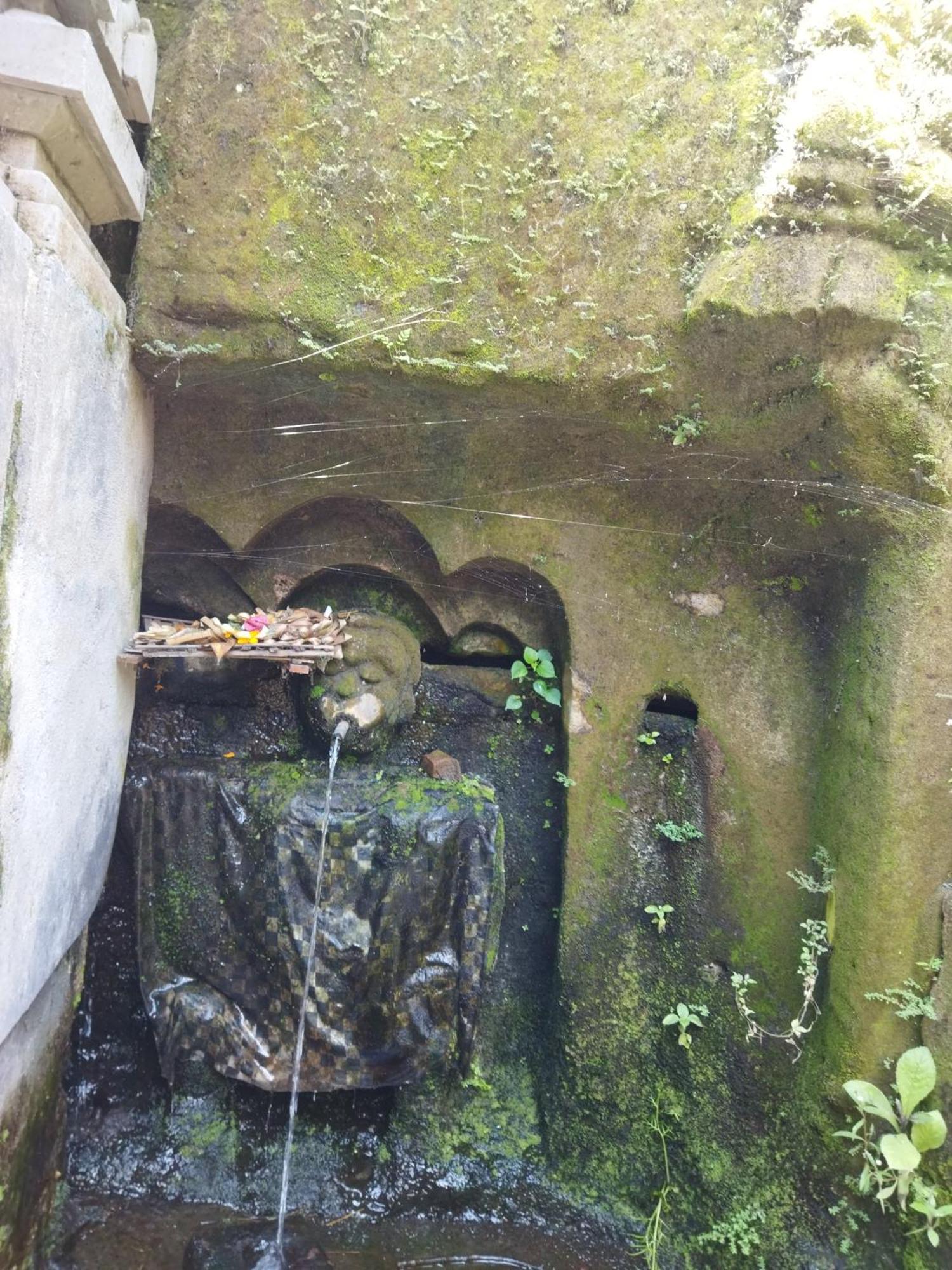 فندق Wahwik'S House أوبود المظهر الخارجي الصورة