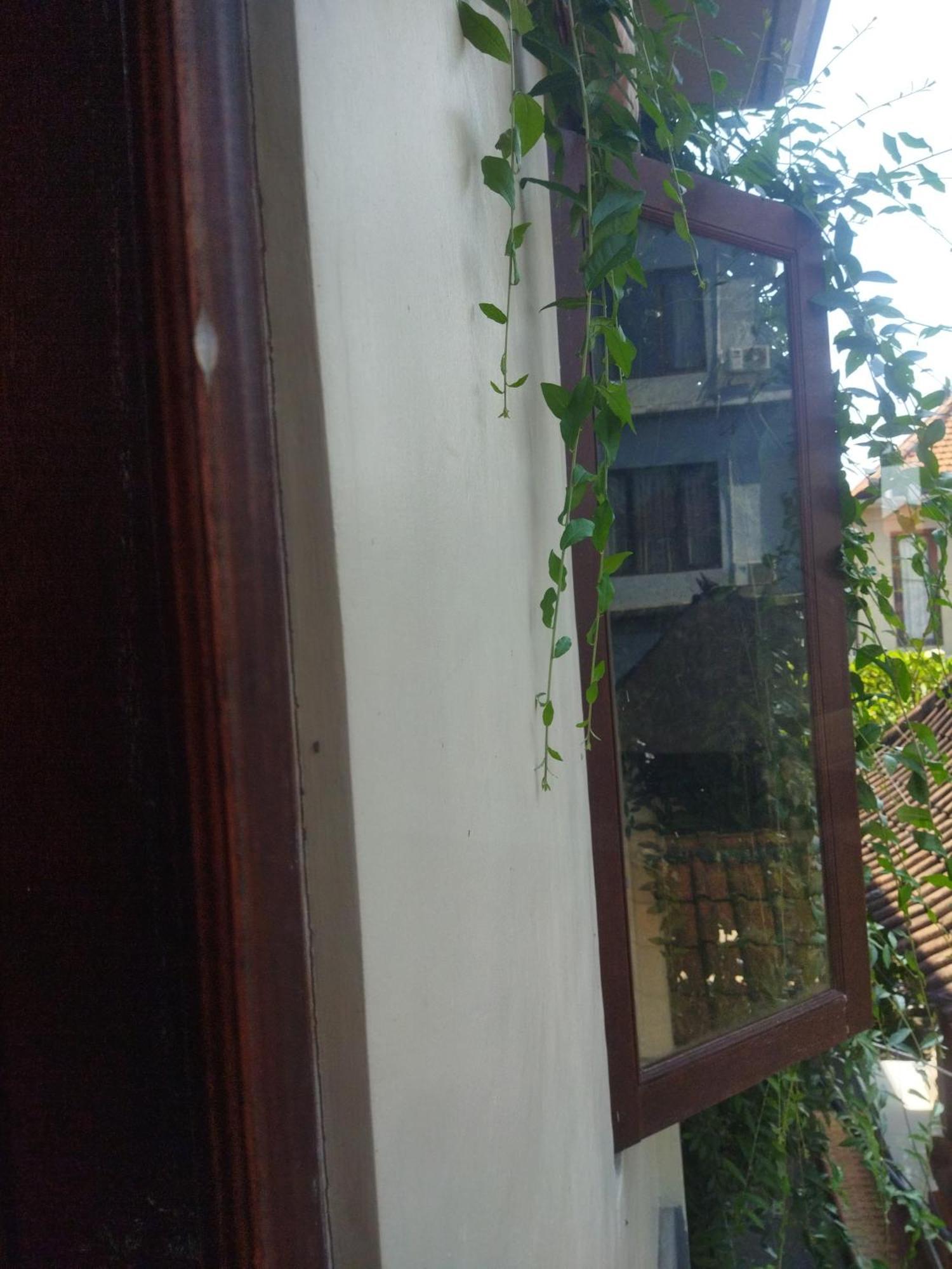 فندق Wahwik'S House أوبود المظهر الخارجي الصورة