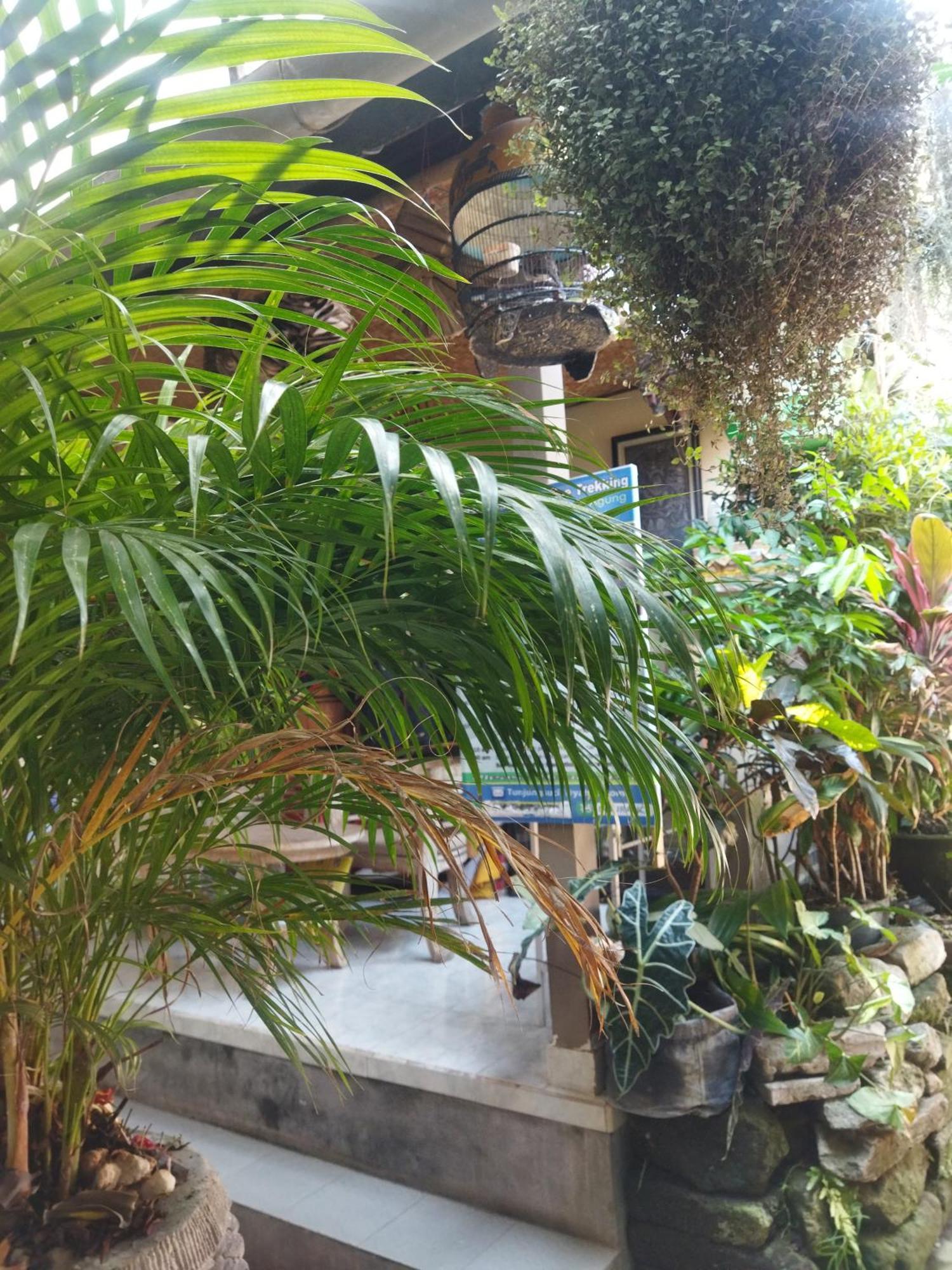 فندق Wahwik'S House أوبود المظهر الخارجي الصورة