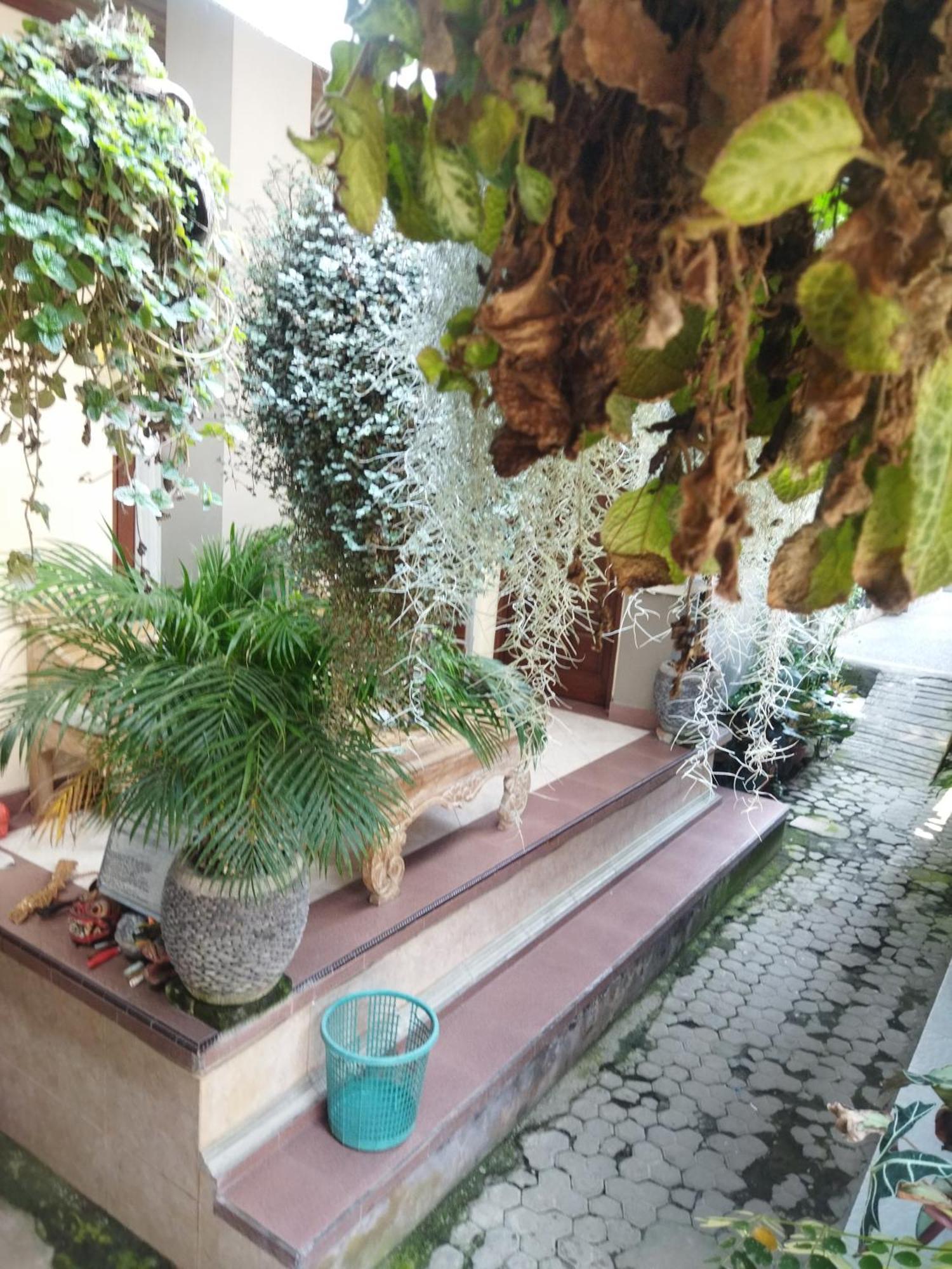 فندق Wahwik'S House أوبود المظهر الخارجي الصورة